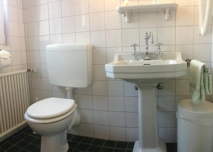 Hotel Goldener Loewe 2*