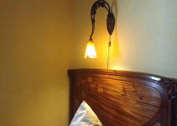 Hotel Goldener Loewe 2*